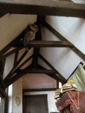 theinfill Medieval, Tudor, Jacobean 1:12 dolls house blog - the infill dolls house blog – owl in the beams